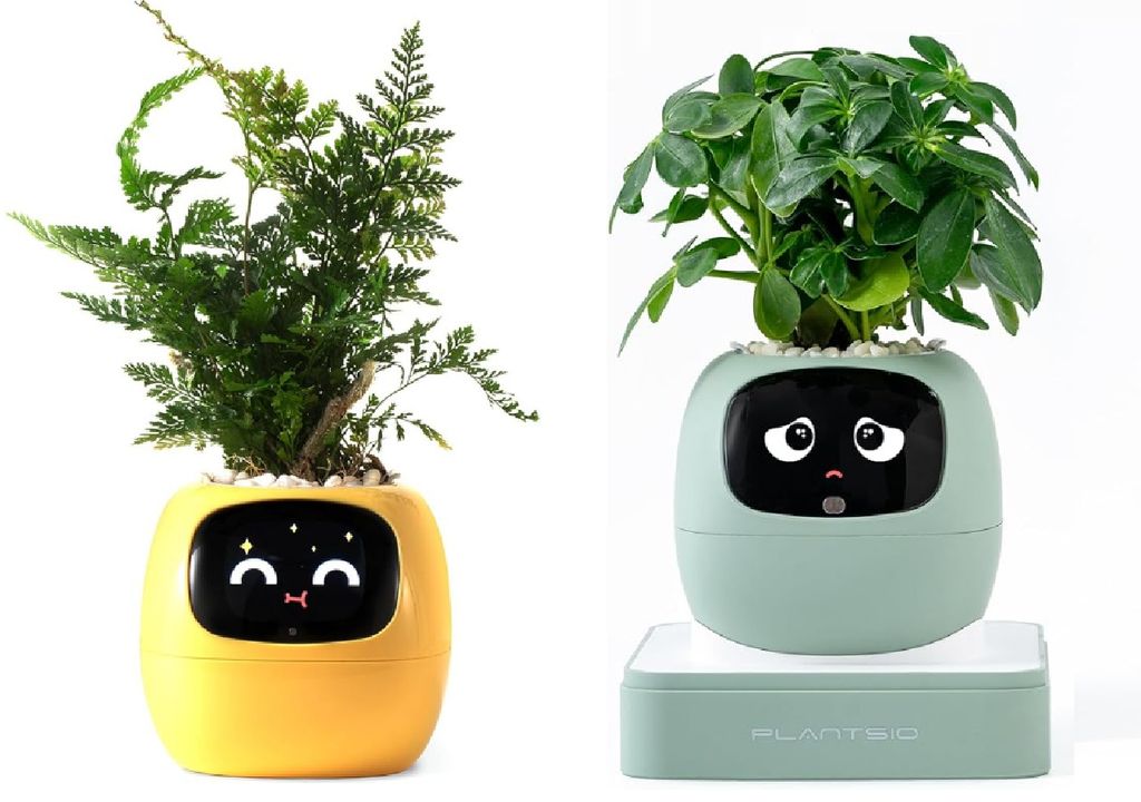 Smart Pot Estamos utilizando chips de silicio para reconectarnos con organismos de carbono. Créditos: Plantsio-Amazon