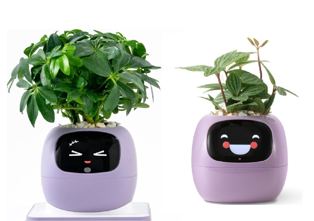 agricultura inteligente Esta tecnología impulsa la agricultura urbana en espacios reducidos. Créditos: Plantsio-Amazon