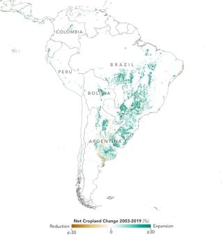 La expansión de las tierras de cultivo en América del Sur: la soja