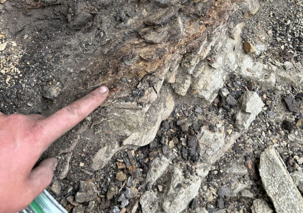 Dinosaurios Tierra extinción Dinosaurios Tierra extinción