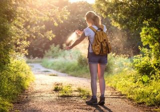 La falta de bosque est&aacute; volviendo a los humanos el alimento principal de los mosquitos