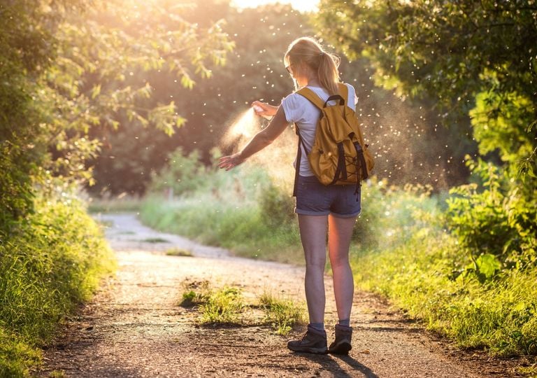 Moustiques : les humains sont leur principale source de nourriture &agrave; cause du manque de for&ecirc;ts !
