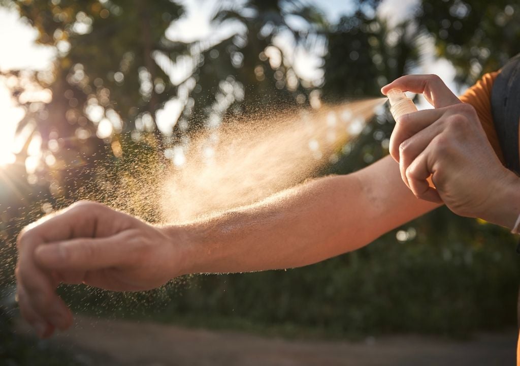 Mosquitos Monitorear el comportamiento de los mosquitos permite anticipar riesgos sanitarios.