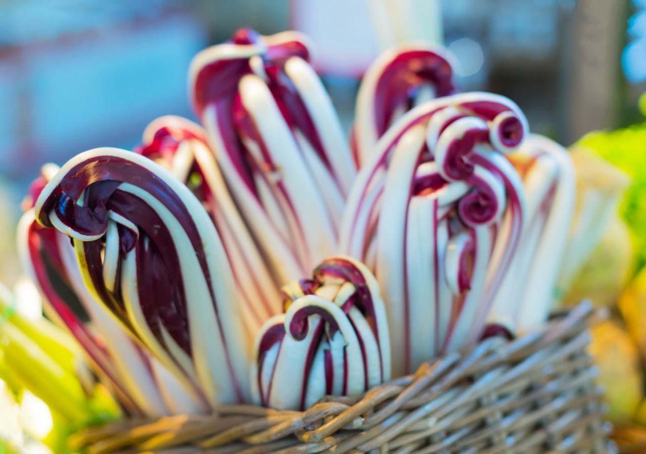 Le foglie del radicchio rosso tardivo, la varietà più pregiata