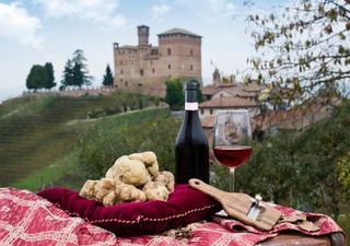 La festa del tesoro più prezioso d'autunno: come un microclima perfetto ha dato vita alla Fiera di Alba