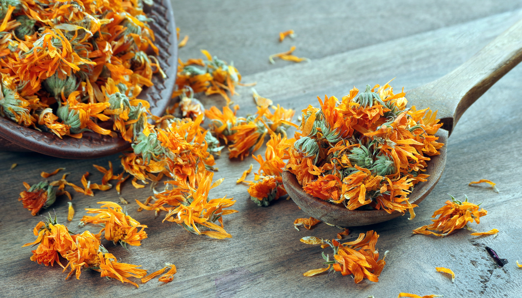 Una vez secas, las flores pueden conservarse para elaborar infusiones, productos cosméticos artesanales y otras preparaciones tradicionales. Una vez secas, las flores pueden conservarse para elaborar infusiones, productos cosméticos artesanales y otras preparaciones tradicionales.