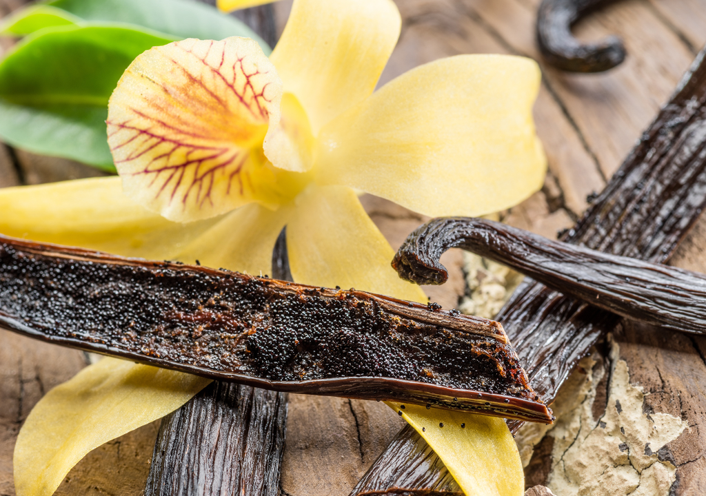 La vainilla no se cultiva en tierra directa como otros cultivos, se maneja como planta epífita, con soportes vivos o estructuras.