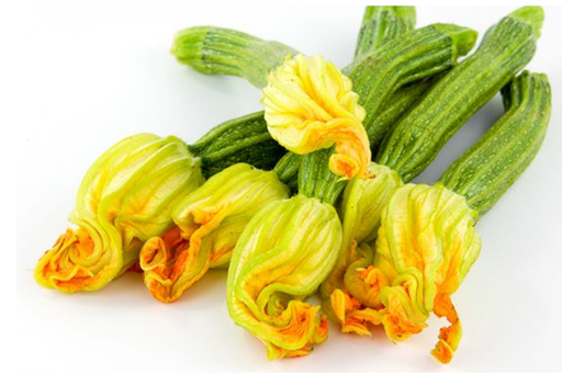 La flor que solo dura un d&iacute;a y que es uno de los sabores m&aacute;s delicados de la cocina mexicana