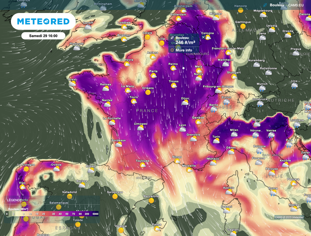 Des éclaircies de possibles ce samedi, mais aussi du pollen de bouleau. Des éclaircies de possibles ce samedi, mais aussi du pollen de bouleau.