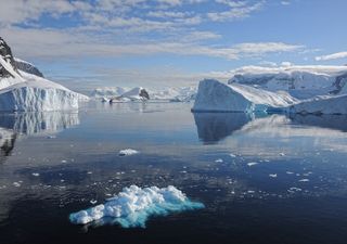 La fonte des glaces bat des records ces trois dernières décennies