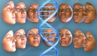 La forma de la nariz y el clima