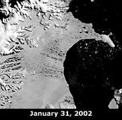 La Fragmentación De Las Plataformas De Hielo De La Antártida. ¿una Señal Más Del Cambio Climático? Imágenes del MODIS tomadas sobre la plataforma Larsen B el 31 de Enero y 7 de Marzo del 2002. Cortesía del Centro Nacional de datos de nieve y hielo
