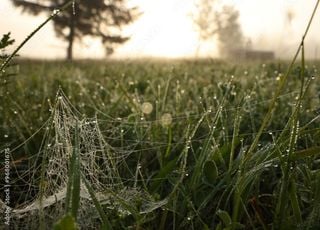 La fraîcheur va-t-elle s'inviter ces prochains jours sur la France ? Découvrez les prévisions.