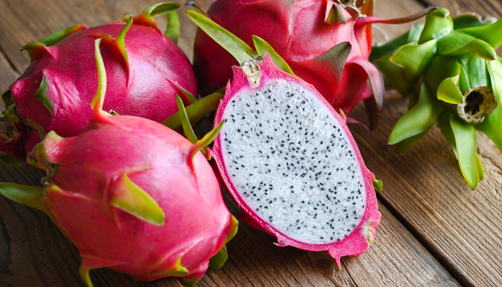La pitahaya prefiere temperaturas entre 18 y 32 °C. Es una especie que puede tolerar calor, pero no heladas.
