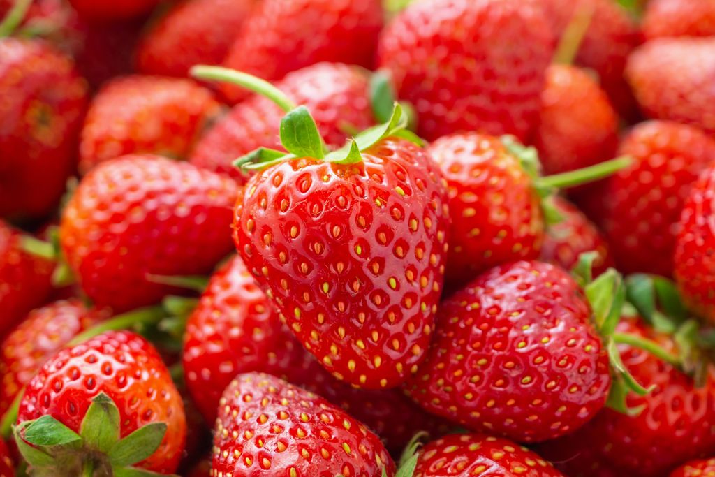 fragole fragole