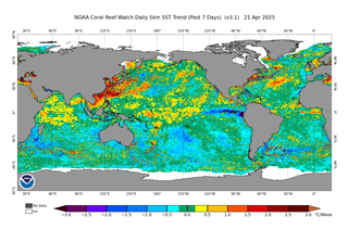 De la ilusión del Niño costero al brusco enfriamiento del Pacífico: descubre qué pasó