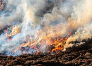 La fumée des incendies au Canada atteint l'Europe !