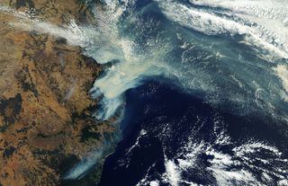 La furia de los incendios forestales en Australia