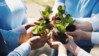 La Giornata Mondiale della Terra 2026: ecco cos&rsquo;&egrave; e come celebrarla