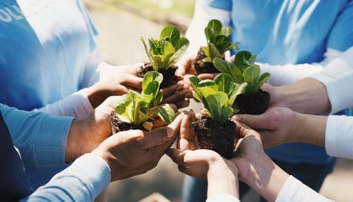 La Giornata Mondiale della Terra 2026: ecco cos&rsquo;&egrave; e come celebrarla