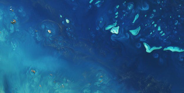 La Gran Barrera De Coral Australiana