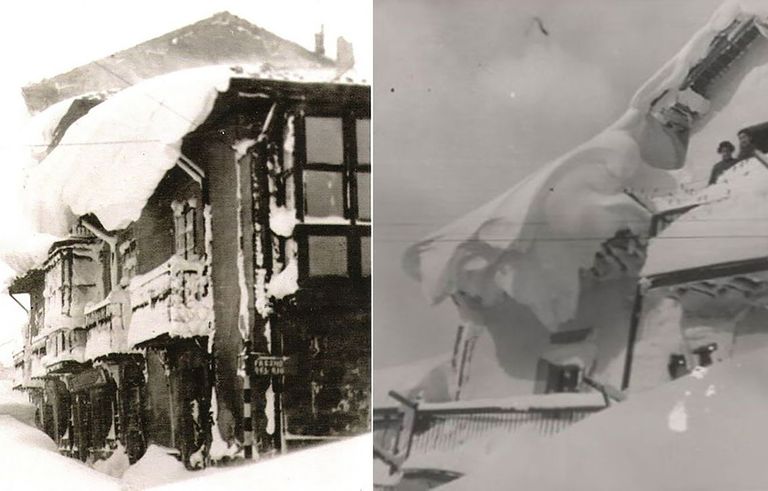 nevadona nevadona