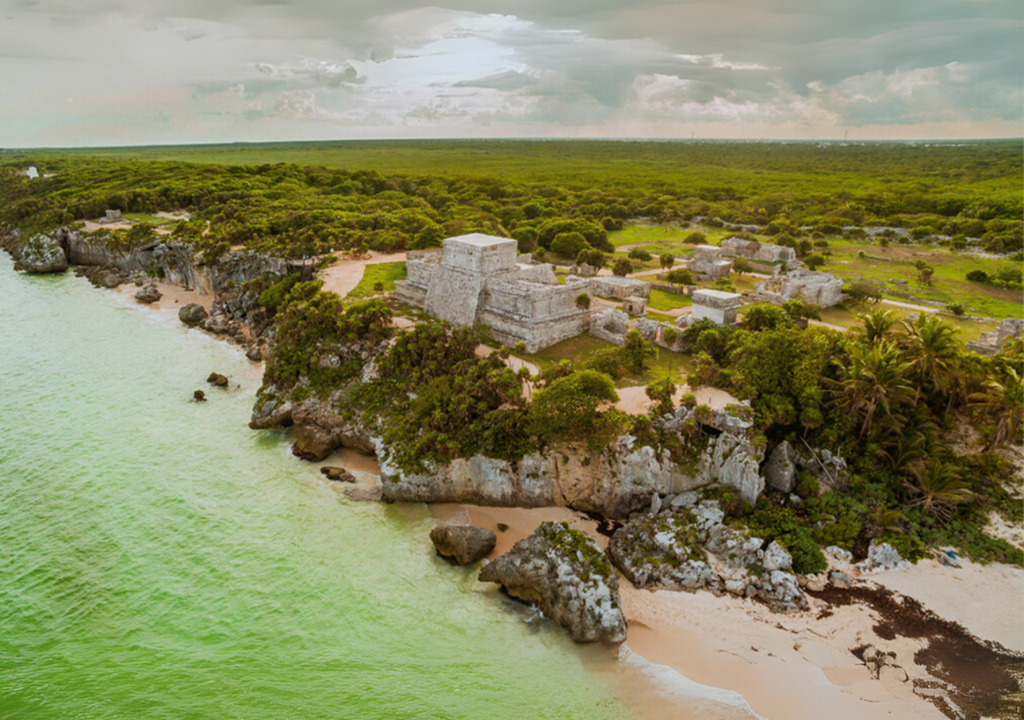 Selva Maya. Selva Maya.