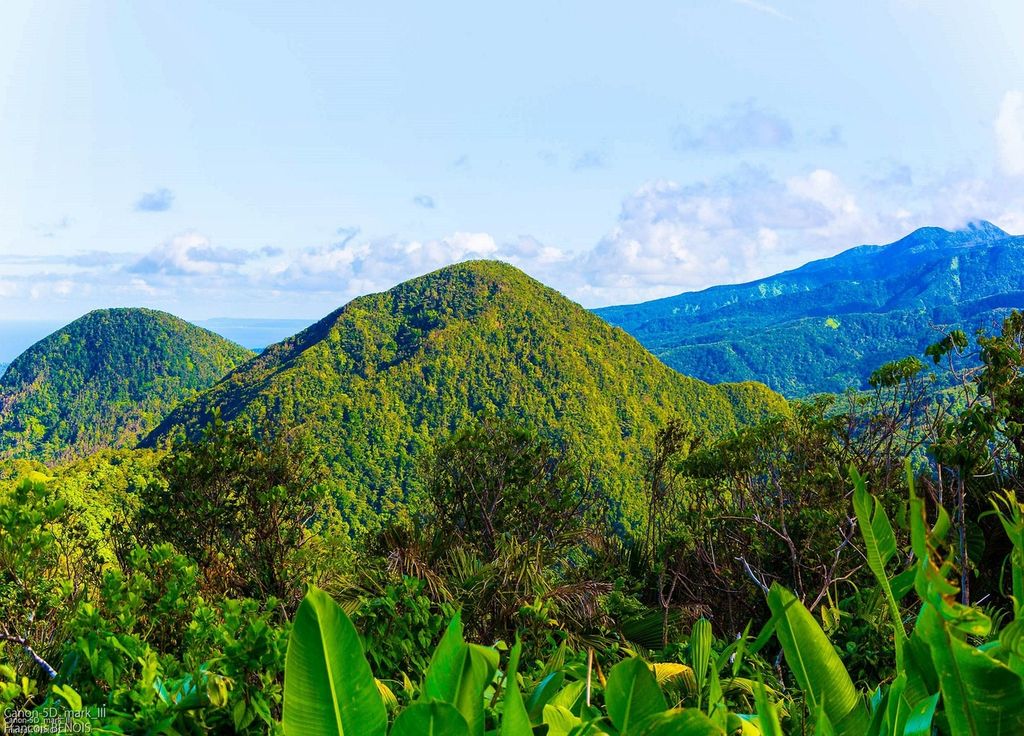 La Guadeloupe, tête de proue du spiritourisme. La Guadeloupe, tête de proue du spiritourisme.