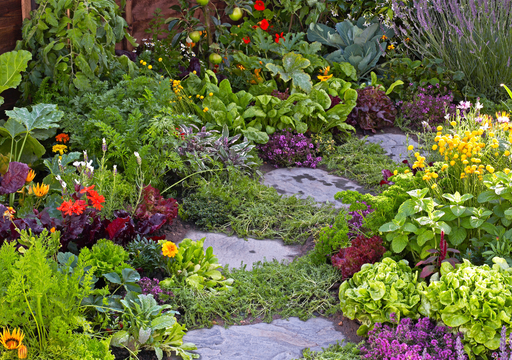 La &ldquo;guerra qu&iacute;mica&rdquo; secreta de tu jard&iacute;n: las plantas que envenenan a sus vecinas (y las que se ayudan entre si)