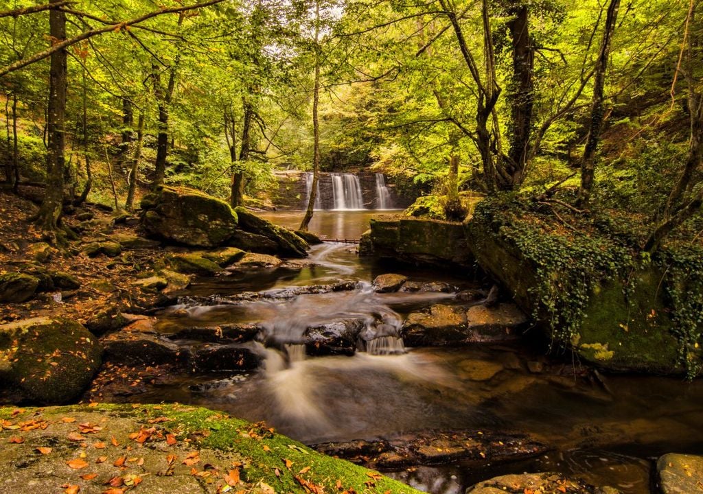 Parque natural Parque natural