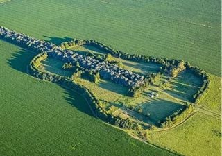 La guitarra de &aacute;rboles que solo se ve desde el aire: la historia de amor detr&aacute;s del homenaje m&aacute;s conmovedor de C&oacute;rdoba