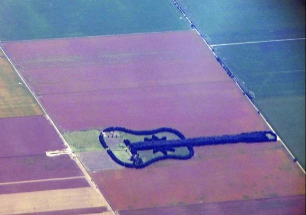 Arboles Cipreses, eucaliptos y pinos trazan el contorno, las cuerdas y los detalles del instrumento sobre la llanura cordobesa. Imagen: Captura de video