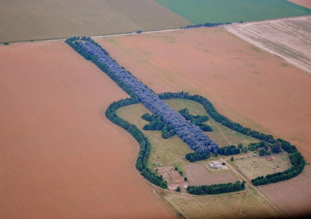Arboles La guitarra se ubica a unos 19 kilómetros de General Levalle y se convirtió en un punto singular del mapa rural argentino.