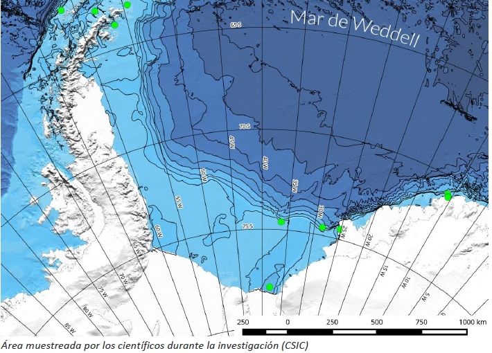 La Huella De La Contaminación Alcanza El Fondo Marino De La Antártida