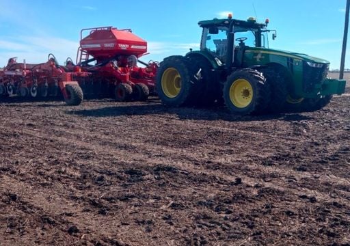 La humedad sigue demorando la cosecha de soja y ma&iacute;z y ahora tambi&eacute;n retrasa la siembra de trigo y cebada