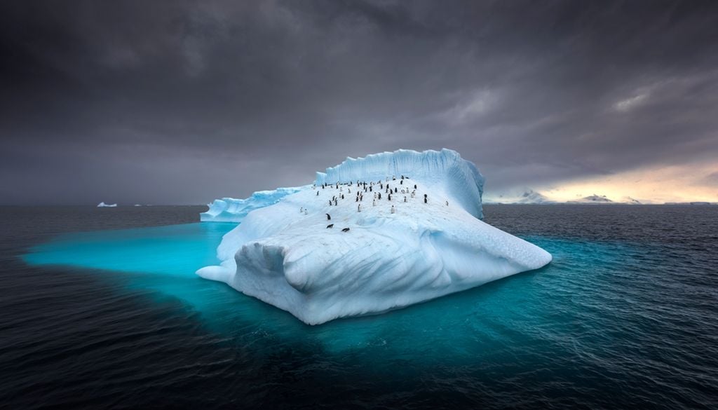 Inventarios de 40 mil iceberg varados en Antártida con IA Científicos generan con datos observacionales de la Antártida y el uso de IA, el primer mapa con los casi 40 mil iceberg varados que rodean y protegen el continente.