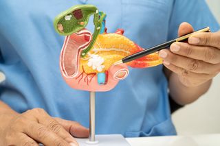 Estudio de la UCLA muestra cómo el estrés y la obesidad son factores desencadenantes del cáncer de páncreas