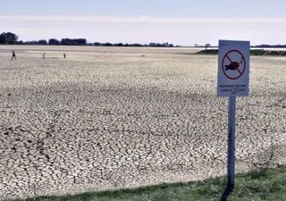 La imagen del desastre: la laguna de Navarro se secó completamente