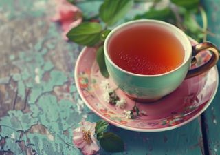 La infusión africana que conquista el mundo y esconde una historia ancestral de resistencia y olvido 