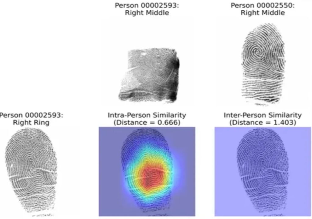 La IA descubre una nueva forma de comparar huellas dactilares
