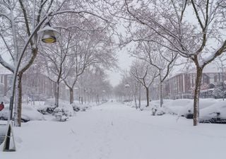 ¿La invasión de aire ártico traerá nieve a Madrid?