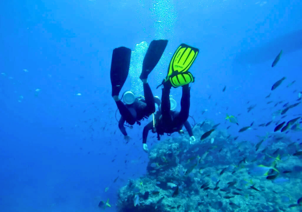 Buceo en Juan Fernández, Chile.