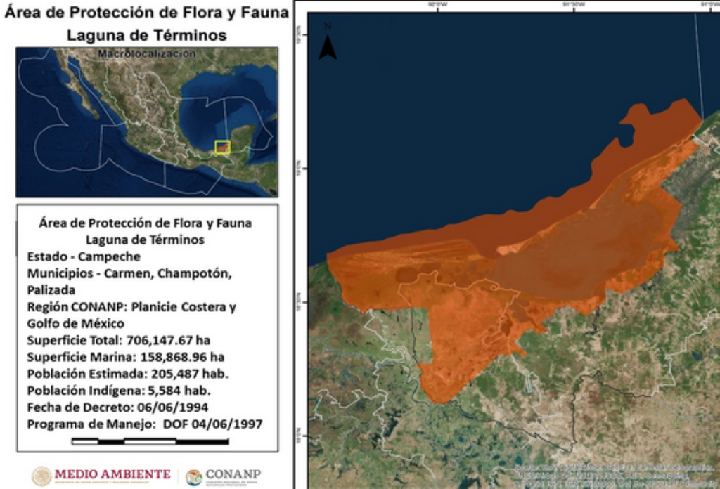 Los manglares son uno de los ecosistemas con mayor distribución dentro del Área Natural Protegida.