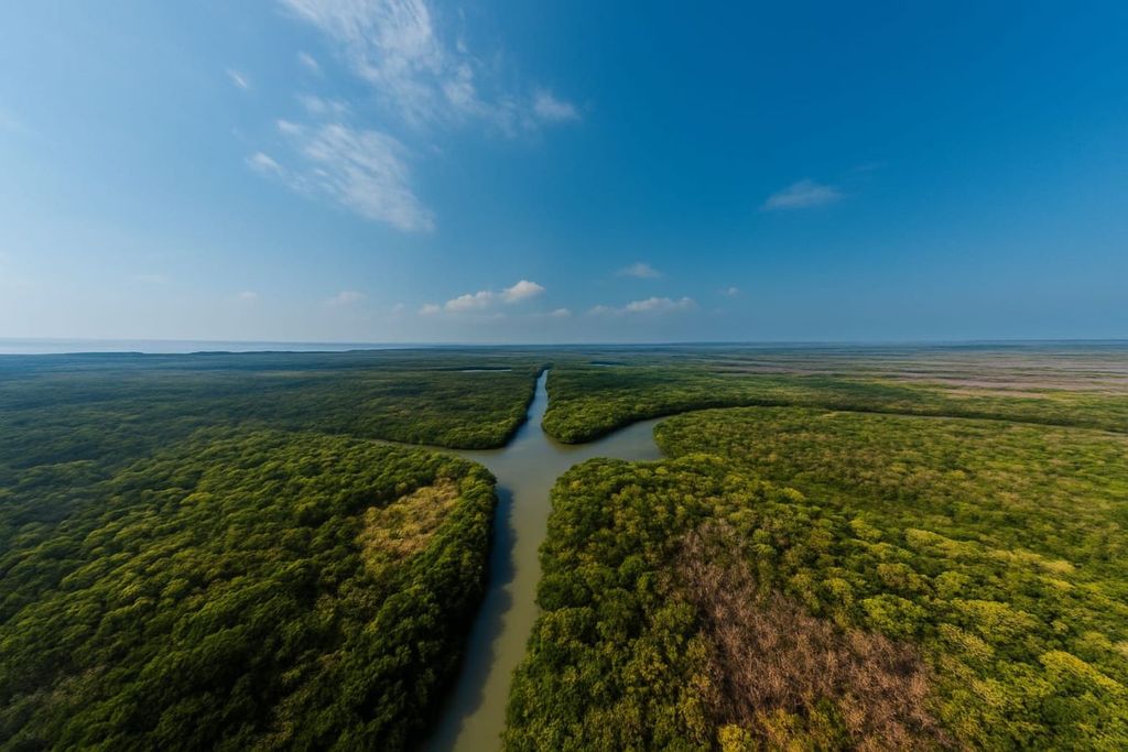 Laguna de Términos establece UMA de manglar para enfrentar el cambio climático.