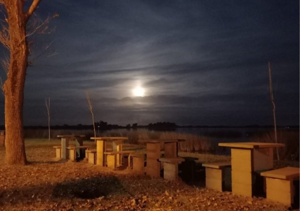 Laguna de Lobos Buenos Aires Las noches de invierno y sus postales son magnéticas en la Laguna de Lobos. Foto: Gentileza X @MamaMacana