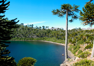 La laguna escondida de Chile que ofrece espectaculares vistas del Volcán Callaqui