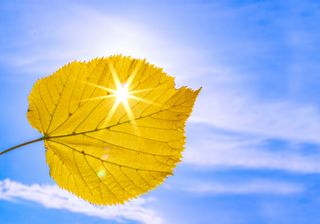 La leggenda di San Martino: l'ultima 