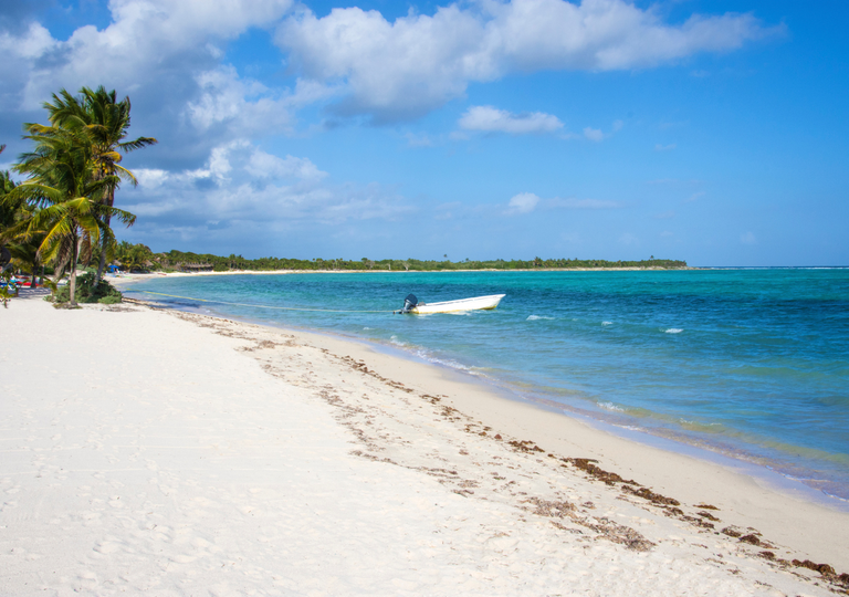 La “Ley Solimán”: La iniciativa ciudadana que busca penalizar el ecocidio en Tulum