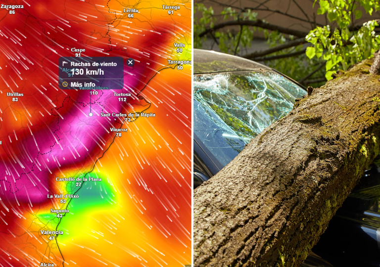 Avisos rojos por viento: lista de municipios de Castell&oacute;n y Tarragona que ma&ntilde;ana vivir&aacute;n lo peor del temporal