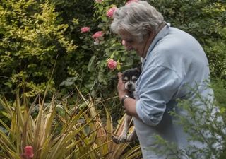 La lucha del ex presidente José Mujica para cuidar a la naturaleza y el ambiente